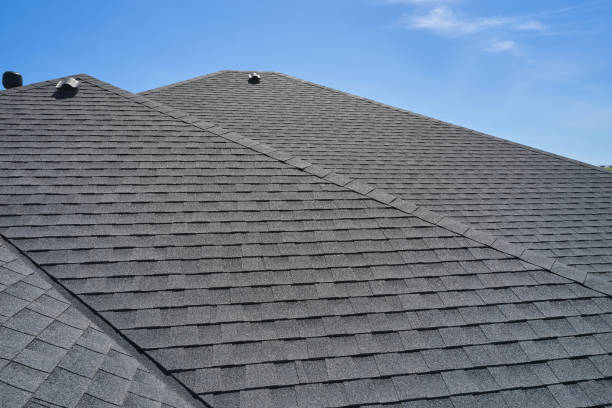 Best Roof Moss and Algae Removal  in Pittsburgh, PA